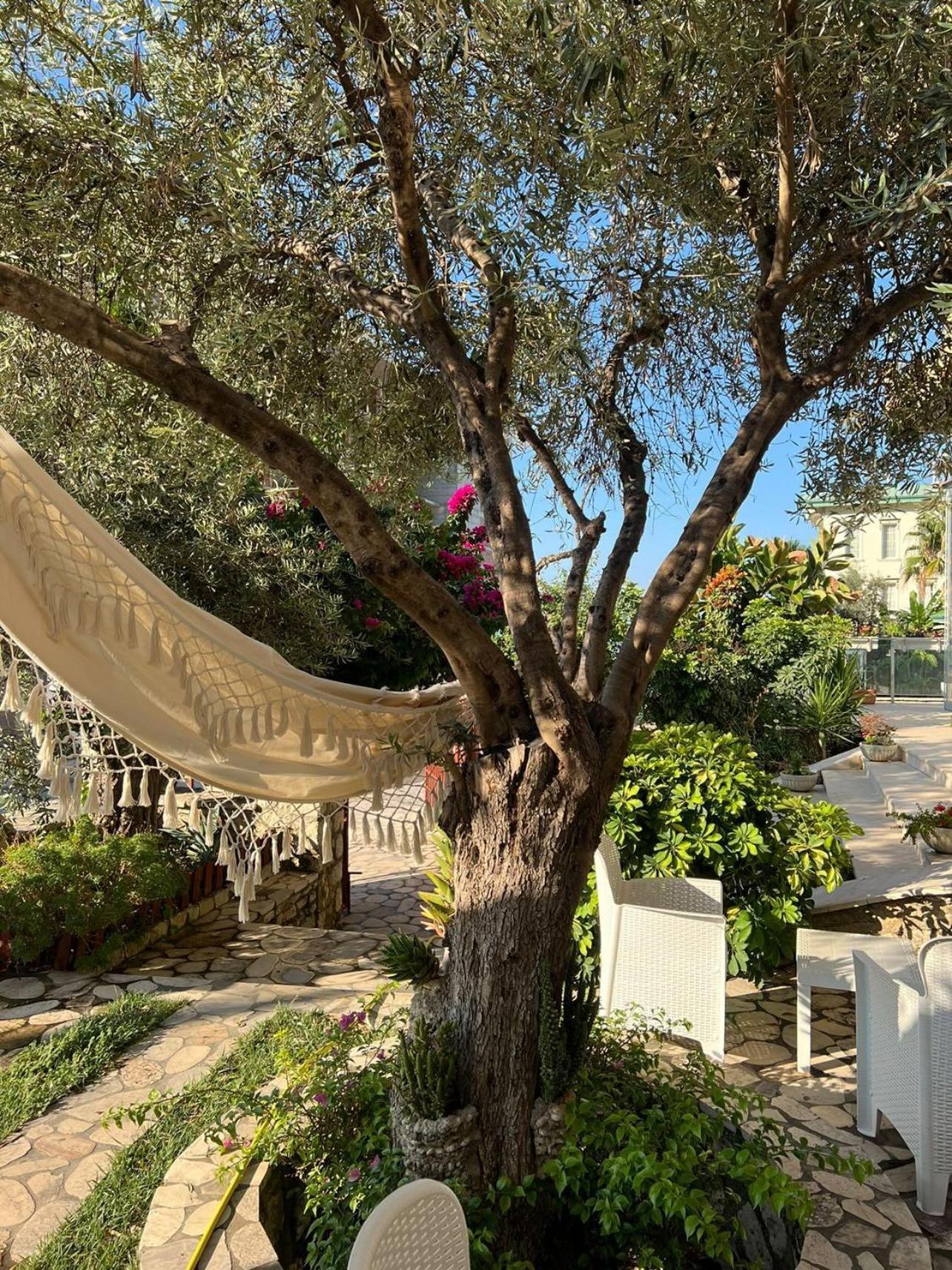 Hotel Orange Dhërmi Kültér fotó